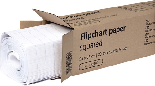 Flipoverpapier geruit,100x65mm, 20 vellen-1