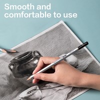 Dmast potlodenset 12-delig-2