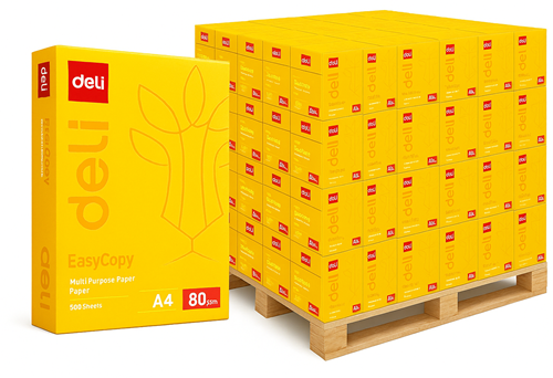Printpapier Deli EasyCopy A4 80 gram (pallet/200pak)