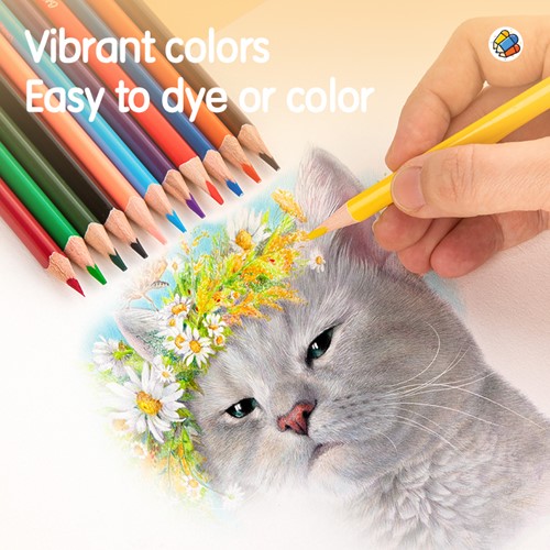 Deli ColoRun kleurpotloden set 12 kleuren-3