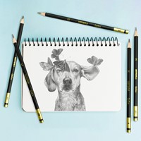 Kores potloden 12 hardheden GRAFITOS Art-Set 92162.PT06