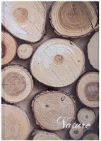 Notitieboek A4 geruit 5x5mm, 96 vel, assortie natuur (pak à 5 stuks)-3